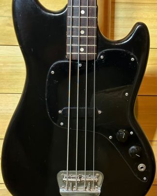 Fender Musicmaster Bass Body
